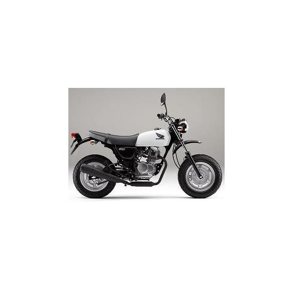 エイプ(APE)100 シャスターホワイト ウレタン塗料1kgセット : バイク