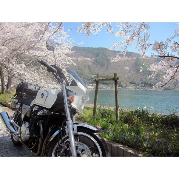 ワールドウォーク CB1100 汎用ビキニカウル DS-01タイプR パール
