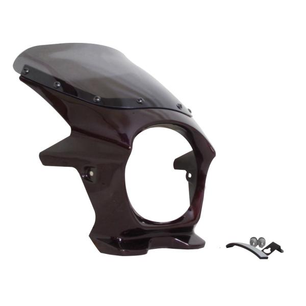 美品！【中～大型車用】 ビキニカウル VISpecial Tomo ＃１ 美品！【中～大型車用】 ビキニカウル VISpecial Tomo ＃1