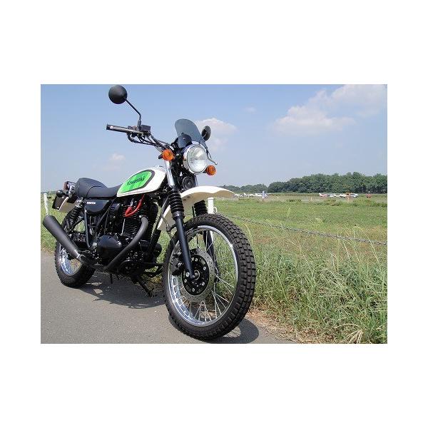 1Nۏؕt 250TR WS-01M ėp EChXN[ ~jJE h JX^p[c V[h c[OMA