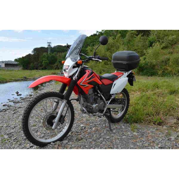 1Nۏؕt ėp XN[ V[h z_ XR230 ^[h