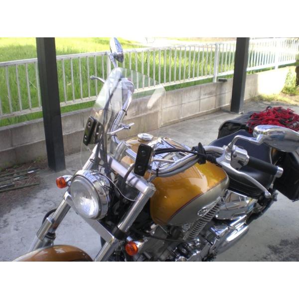 1Nۏؕt ėp XN[ V[h }n hbOX^[1100