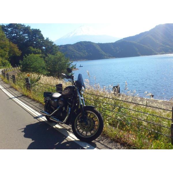 1Nۏؕt HD n[[ X|[cX^[ XL883 WS-09M toht ėp EChXN[ h JX^p[c