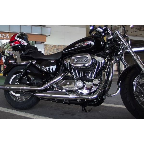 1Nۏؕt HD n[[ XL1200C X|[cX^[1200JX^ AWX^uTXyV