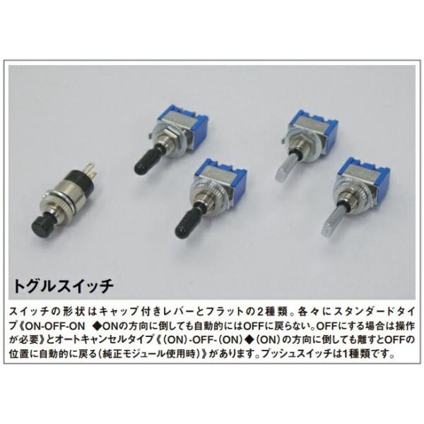CFポッシュ 881240-01 トグルスイッチフラットレバー AC 6角ナット付