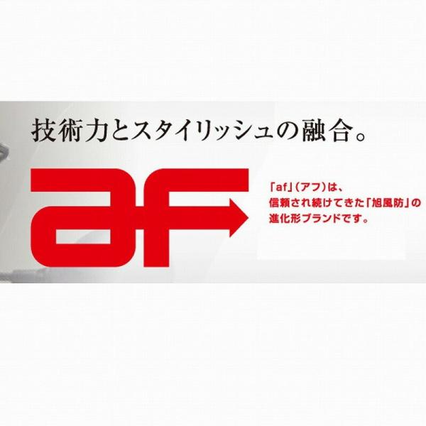 h  CUB-08-P V[goCU[ X[p[Ju 110 v NA 4560122613411