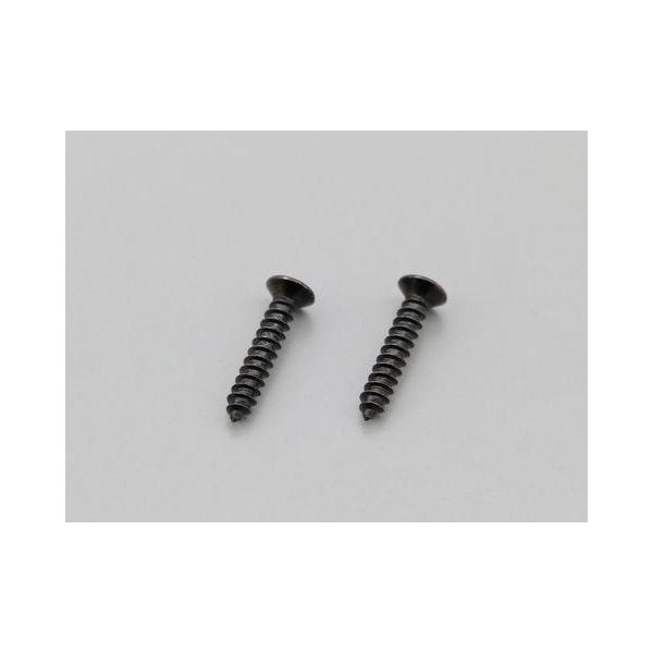 デイトナ 24267 ジビ タッピングスクリュー M2×12CSK ブラック 2個入 MP60N/MP70N用 ネジ 補修 修理 部品 パーツ モノロック GIVI