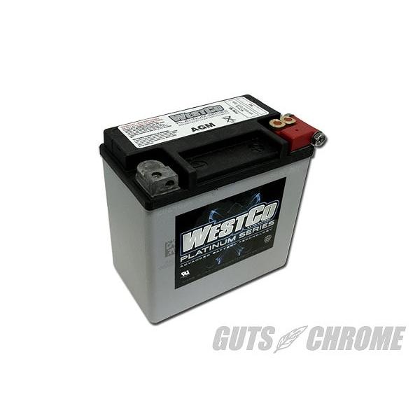 WESTCO EGXgR 9800-4060 WCP14L obe[ t[d 04CREXL 65958-04