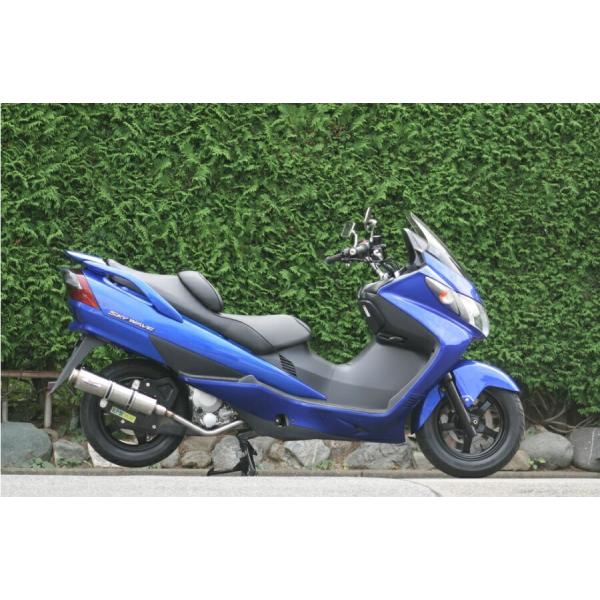 RPM 6018Y }t[ 80D-RAPTOR TI XJCEFCu SKYWAVE250 BA-CJ43A RPM 6018Y