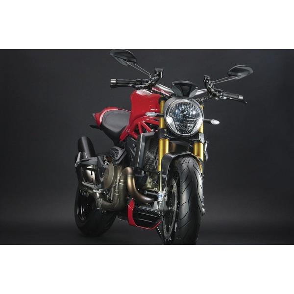 gbNX^[ WG^[RAK[h ubNbL DUCATI Monster1200/821 hDJeB X^[1200/821 ubNbL VHG-D02-BM