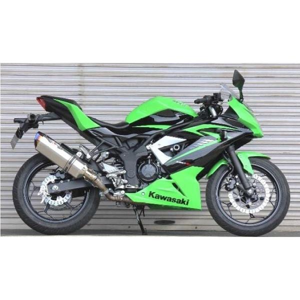 jW 250SL }t[ BEET 0228-KD2-50 NASSERT EVOLUTION TYPE2 XbvI }t[ `^/NA`^ NINJA250SL jW250SL