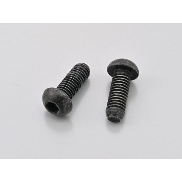 デイトナ 62201 ボタンボルト M8×22×P1.25 2個入り レブル1100/DCT/T/S Edition パイプエンジンガード 60668 補修部品 DAYTONA