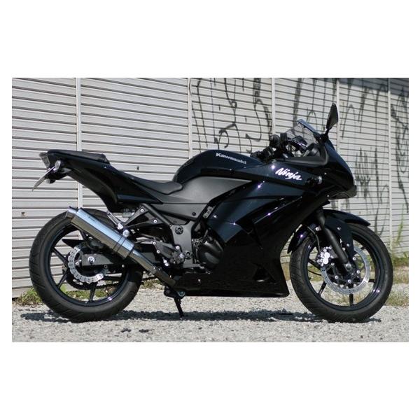 jW Nnja 250 R 08- EX250K }t[ ARIA XeX ^CvC J[Gh 507-SO-003-01 ACY jW }t[