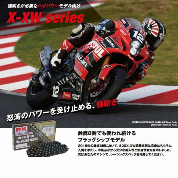 RK BL520X-XW110 �h���C�u�`�F�[�� 110�����N �u���b�N �o�C�N�p�i �`�F�[��