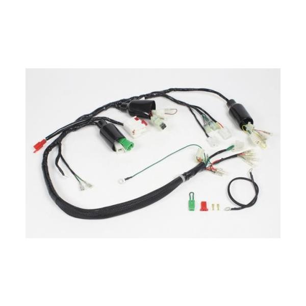 SP武川 タケガワ 05-00-0002 スーパーメインハーネスキット 12V