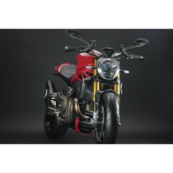 gbNX^[ WG^[RAK[h XeXVo[ DUCATI Monster1200/821 hDJeB X^[1200/821 XeXVo[ VHG-D02-SV