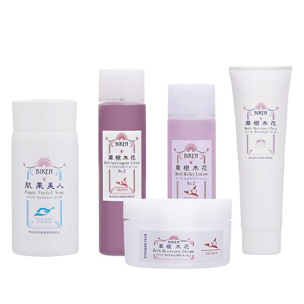 日焼けによるシミ・そばかす 漢方自然派化粧品5点セット ＜毎日の