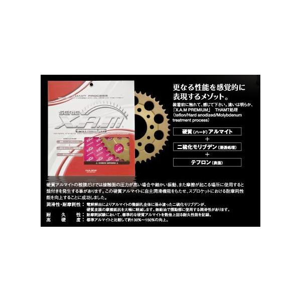 リアスプロケット RG250E A4305X プレミアム メール便可 丁数