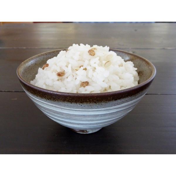 国内産 もち麦ファイバーブレンド 250g ベストアメニティ Buyee