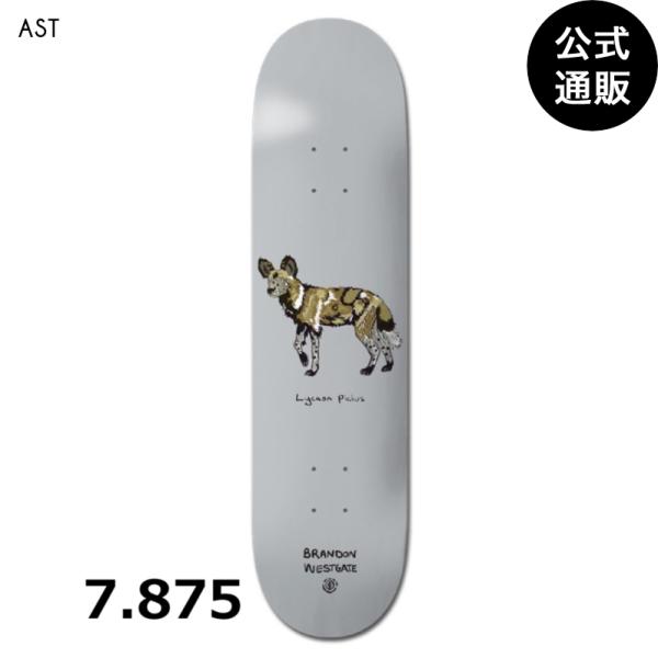 スケートボード　ヒナタ ELEMENT 【27日-5日はボーナスストア+10％】OUTLET 送料無料