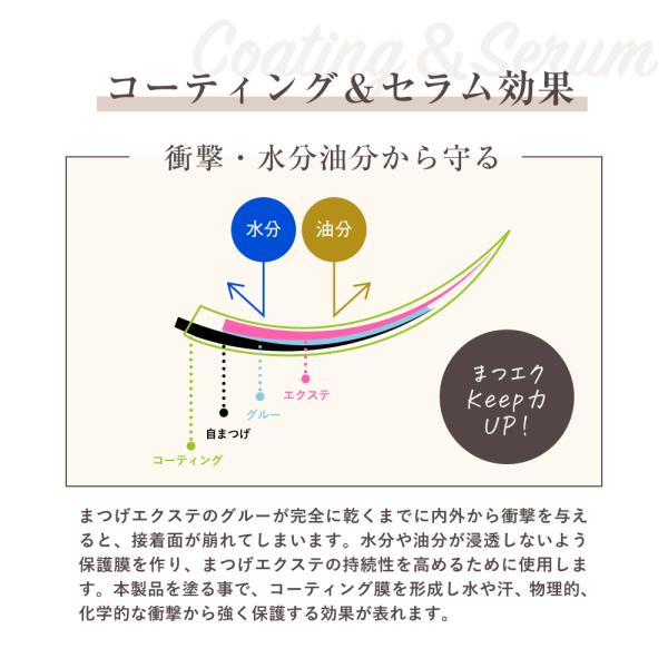 まつげエクステ コーティング剤 12本セット コーティング剤 Bilux まつげエクステ Www Sidecar Com Sg