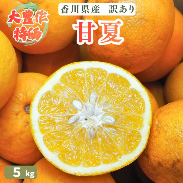 甘夏 訳あり 5kg 香川県産 家庭用 柑橘 甘なつ みかん 送料無料