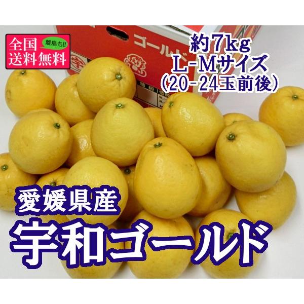 宇和ゴールド 約７ｋｇ ｌ ｍサイズ ２０ ２４玉前後 愛媛県産 F 0003 美味旬果 通販 Yahoo ショッピング