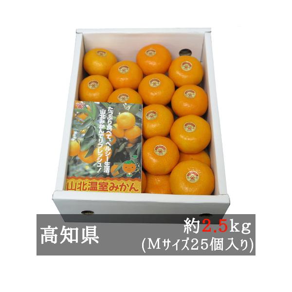 山北ハウスみかん 約2.5kg Mサイズ25個入 高知県産 : 美味旬果 