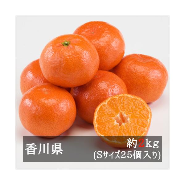 さぬき紅ハウスみかん（小原紅早生） 約２ｋｇ Ｓサイズ２５個入り 香川県産