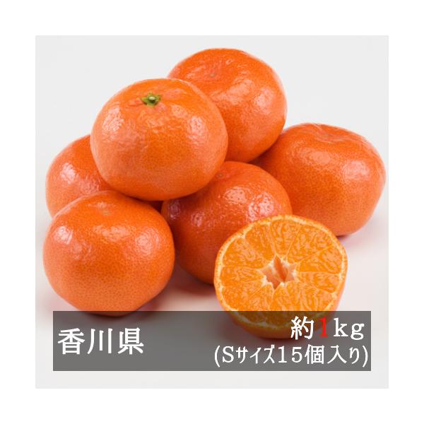 ははさん  越冬さぬき紅みかんS×2箱 ははさん 越冬さぬき紅みかんS×2箱 楽天市場】越冬さぬき紅