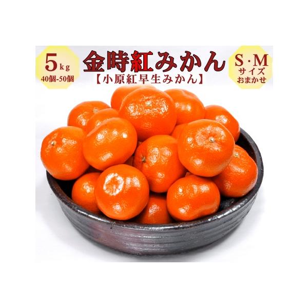 金時紅みかん 小原紅早生 約５ｋｇ ｓサイズ 約６０個 香川県産 F 美味旬果 通販 Yahoo ショッピング