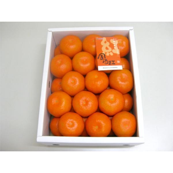 金時紅みかん 小原紅早生 約２ ５ｋｇ ｌサイズ２１個入り 香川県産 Buyee Buyee Japanese Proxy Service Buy From Japan Bot Online