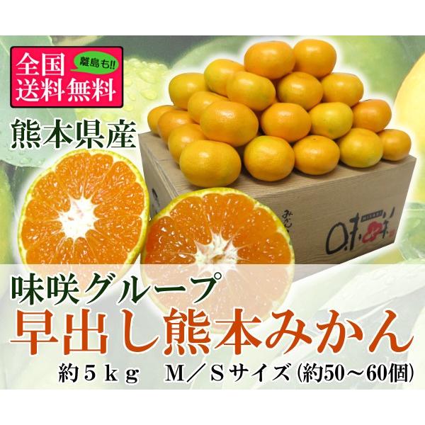味咲グループ 早出し熊本みかん 約５ｋｇｍ ｓ 約５０ ６０個 熊本県産 F 美味旬果 通販 Yahoo ショッピング