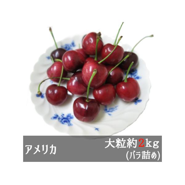 アメリカンチェリー 9.5(R) さくらんぼ　2kg ダークチェリー　サクランボ アメリカンチェリー 9.5R大粒 約2kg アメリカ産 : 美味旬果