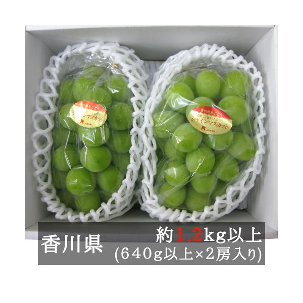 秀品 シャインマスカット ２房 (約640g×2) 化粧箱入 香川県産