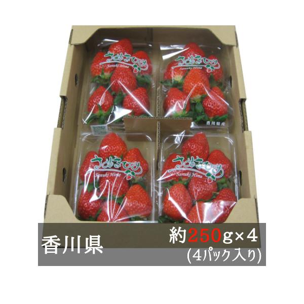 年内終了・2025年1月再販予定】さぬきひめいちご 約250g×4 年内終了・2025年1月再販予定】さぬきひめいちご 約250g×4