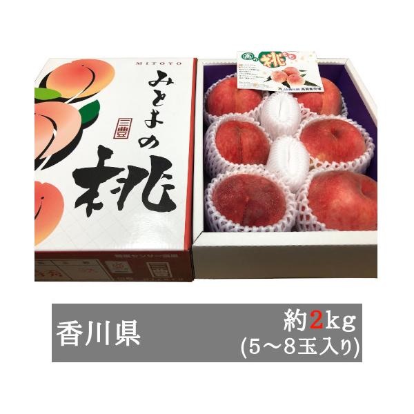 三豊の桃 約２ｋｇ５-８玉入り 香川県産