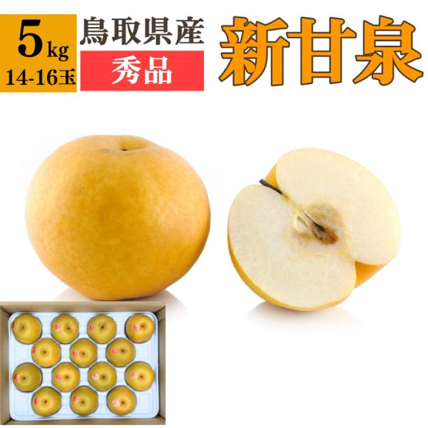 新甘泉 しんかんせん 秀品 5kg 14-16玉 鳥取県産 梨 果物