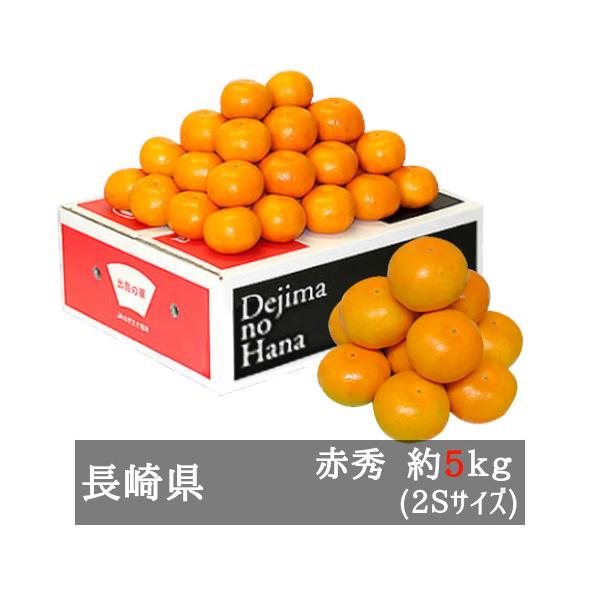 みかん 長崎県産 出島の華 赤秀2S 5kg 70-80個 させぼ温州 糖度14度