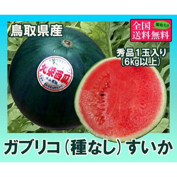 ガブリコ 種なし すいか 秀品１玉入り 鳥取県産 F 美味旬果 通販 Yahoo ショッピング