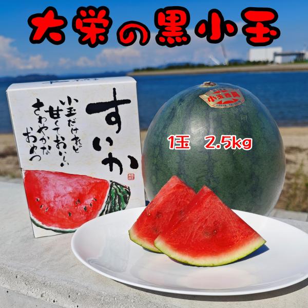 鳥取産 大栄 小玉スイカ 秋 2Lサイズ4個入り