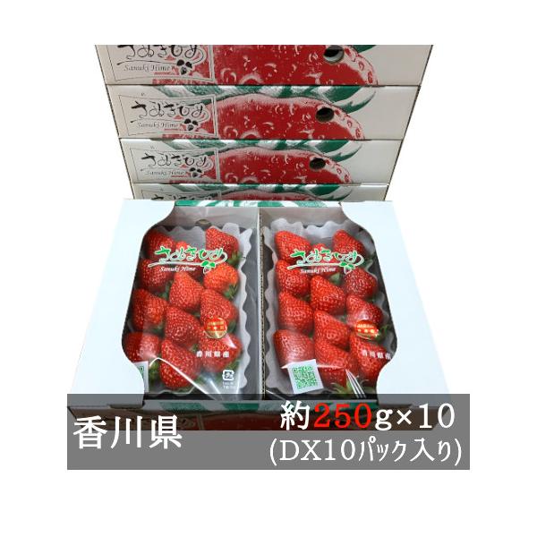 ｄｘさぬきひめいちご 約２５０ｇ １０パック 香川県産 J 美味旬果 通販 Yahoo ショッピング