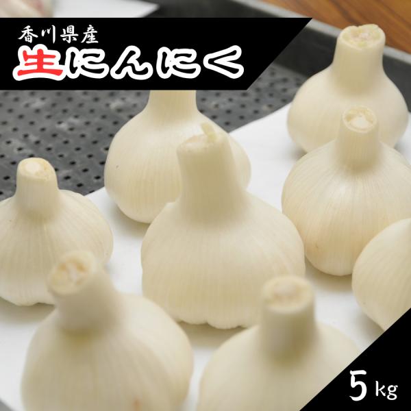 生にんにく 約５ｋｇ 香川県産
