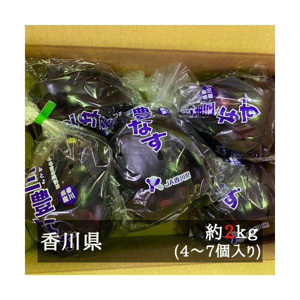 画像の説明