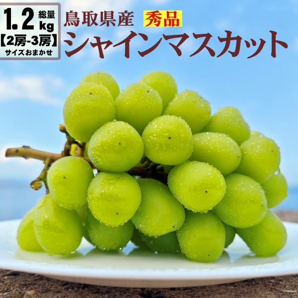 bimi-shunka_ke-00016