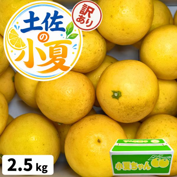 高知県産 小夏 訳あり 家庭用 2.5kg 選べる 小夏 日向夏 ニューサマーオレンジ