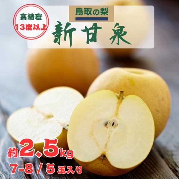 梨 新甘泉 鳥取県産 約2.5kg 7玉-8玉 しんかんせん梨 2L  赤梨 秀品 冷蔵便 夏ギフト お中元 残暑見舞い