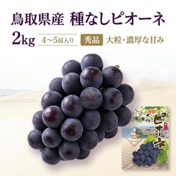 ぶどう ピオーネ 鳥取県産 約2kg 4房から5房 種なし 秀品 大粒 黒ぶどう 葡萄 フルーツ ギフト 冷蔵便
