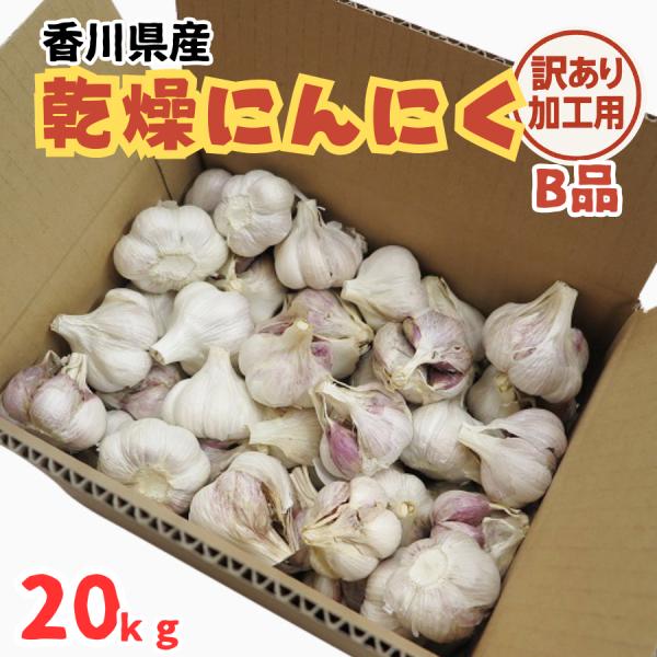 乾燥にんにく 約20kg 訳あり加工用 B品（サイズ混合・一片混合） 香川県産