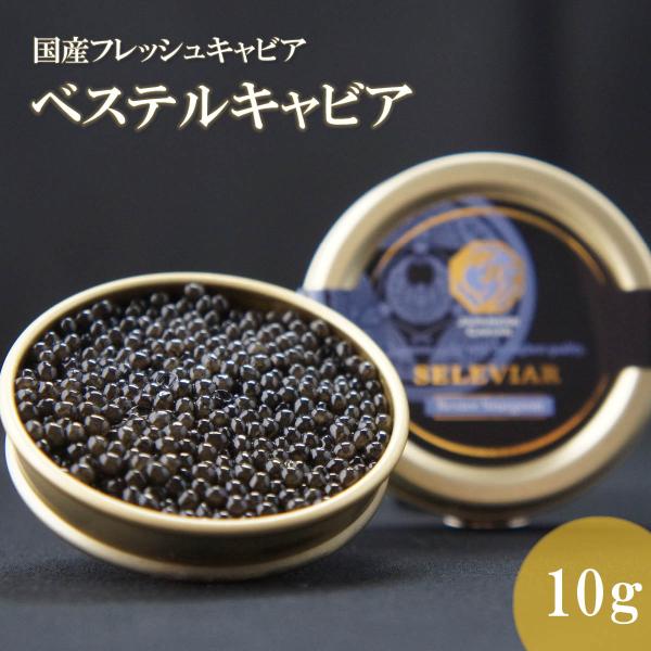 国産キャビア　ベステルキャビア10g　島根県産 フレッシュ 珍味 おつまみ 魚卵 魚 チョウザメ 無添加 冷凍 高級 お取り寄せ お中元 お歳暮 島根 邑南町 セレビア